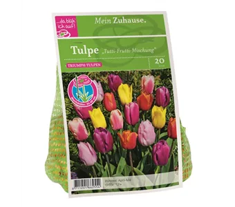 Blumenzwiebel Tulpe Tutti Frutti Mischung